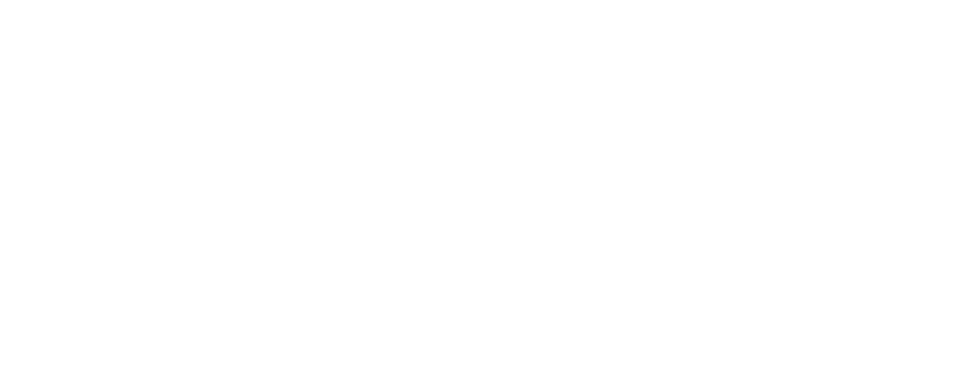 Souelitefisio